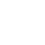 parrot